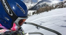 Državno prvenstvo v veleslalomu in deskanju na snegu