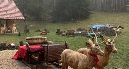 Obisk Božičkove dežele 2025