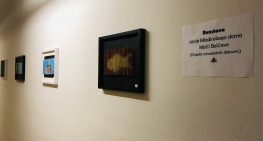 Postavitev razstave v Četrtni skupnosti Rožnik