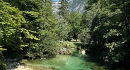 Tabor Bohinj 2026